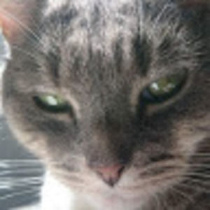 Meet your Posher, Jill